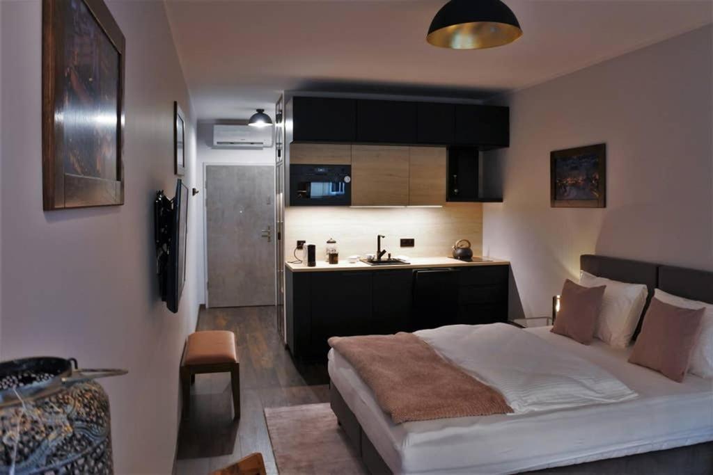 Boutique 109 - Old City, Luxury Apt. With A Garage Krakow Luaran gambar